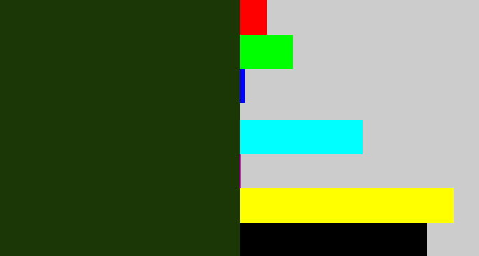 Hex color #1b3706 - forrest green