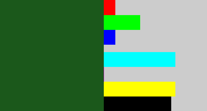 Hex color #1b581b - pine green