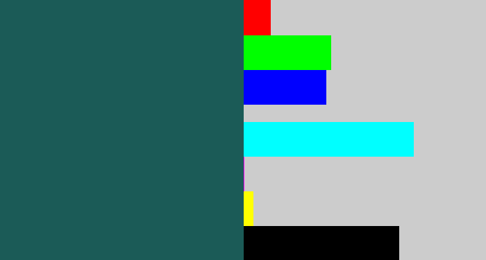 Hex color #1b5b57 - dark green blue