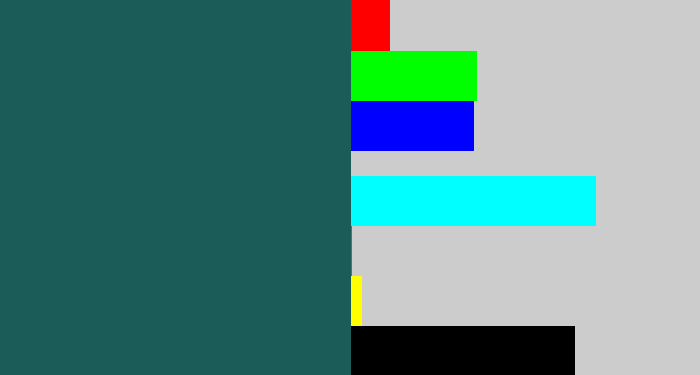 Hex color #1b5b58 - dark green blue