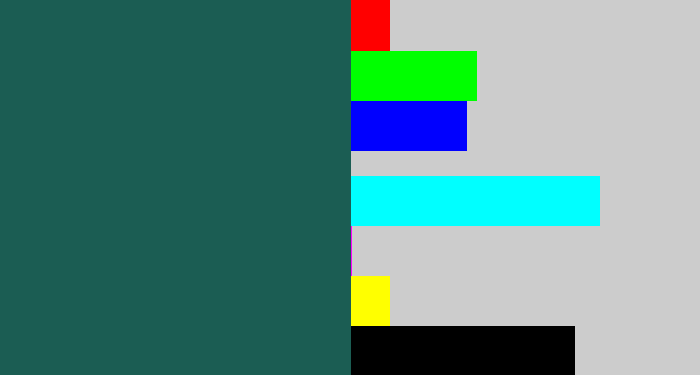 Hex color #1b5d53 - dark green blue