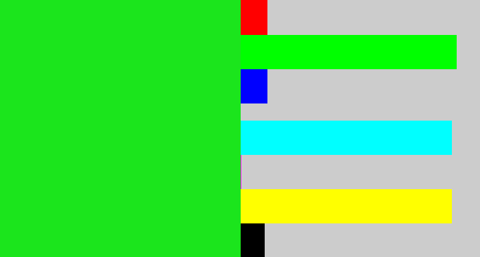 Hex color #1be51c - vivid green