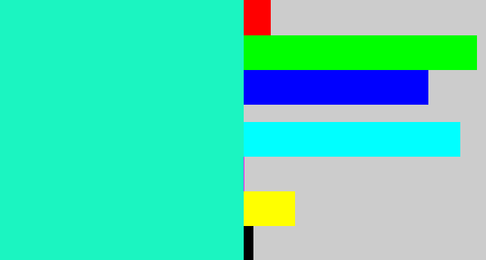 Hex color #1bf5c1 - aqua