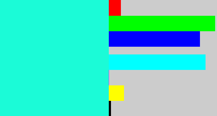 Hex color #1bfbd7 - aqua