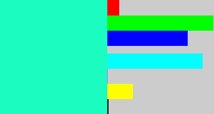 Hex color #1bfcc0 - greenish cyan