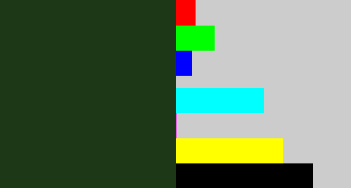 Hex color #1c3816 - forrest green