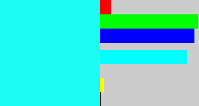 Hex color #1dfcf2 - bright light blue