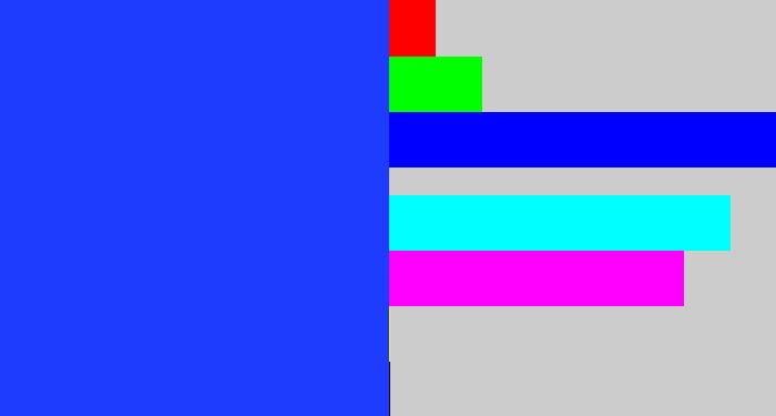 Hex color #1e3cfe - vivid blue
