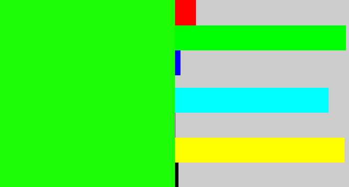 Hex color #1efb07 - highlighter green