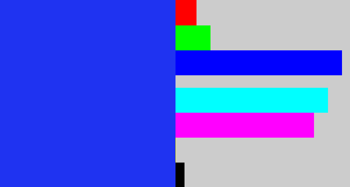 Hex color #1f33f1 - vivid blue