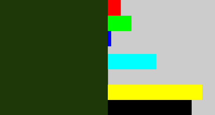 Hex color #1f3807 - forrest green