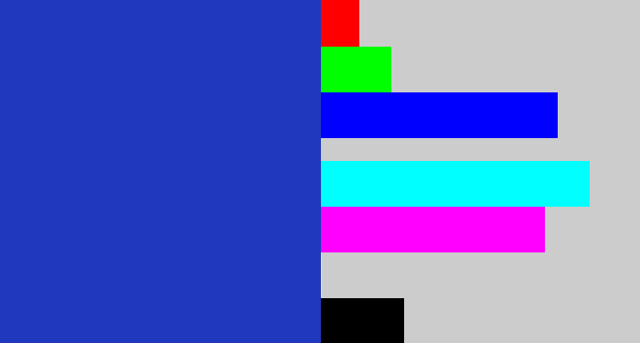 Hex color #1f38bd - blue blue