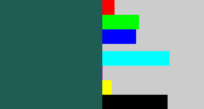 Hex color #1f5c54 - dark green blue