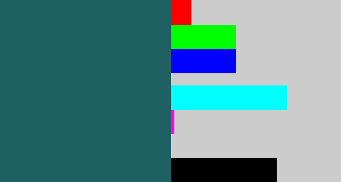 Hex color #1f6062 - dark green blue