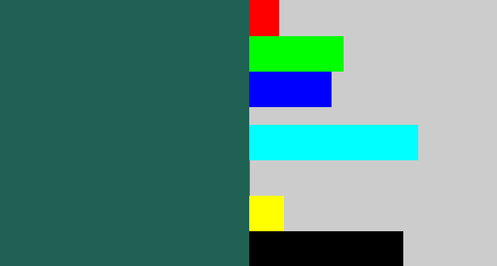 Hex color #1f6153 - dark green blue