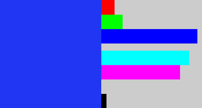 Hex color #2036f3 - vivid blue