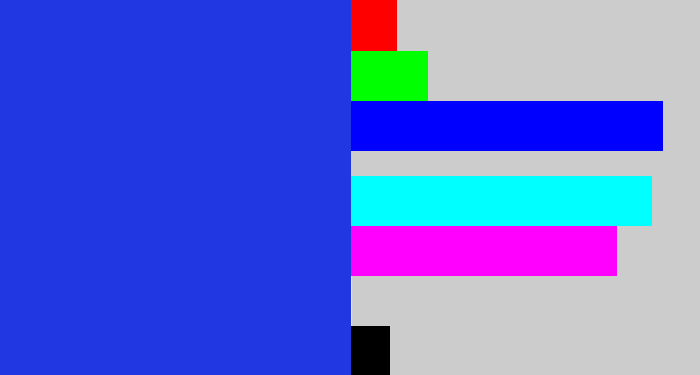 Hex color #2037e2 - blue blue