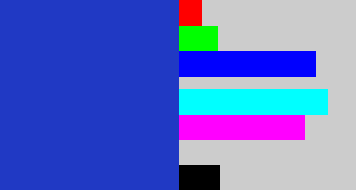 Hex color #2039c4 - blue blue