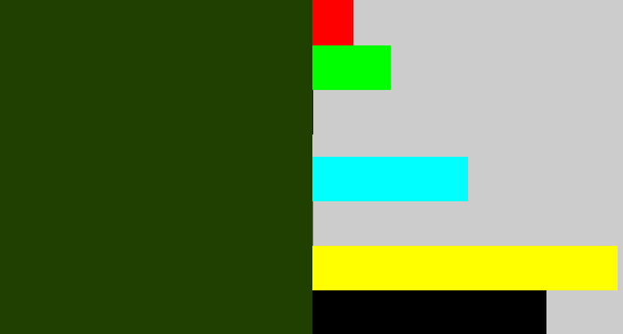 Hex color #204001 - forrest green