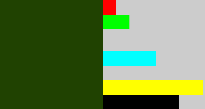 Hex color #204201 - forrest green