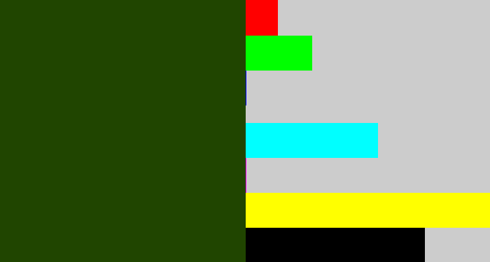 Hex color #204500 - forrest green