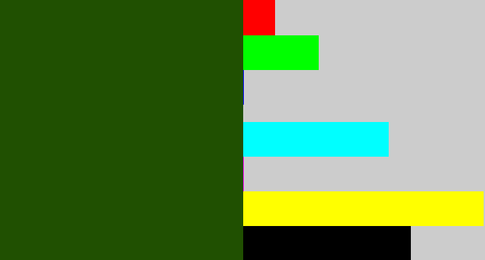 Hex color #205001 - forrest green