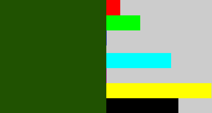 Hex color #205201 - forrest green