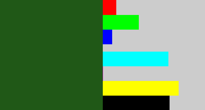 Hex color #205817 - navy green