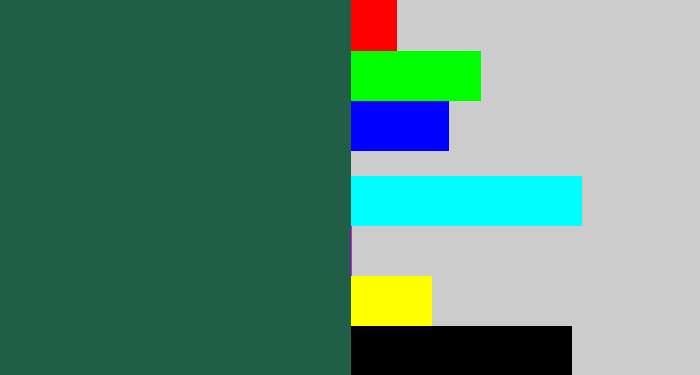 Hex color #205e48 - dark green blue