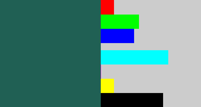 Hex color #206054 - dark green blue