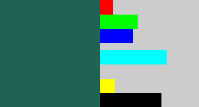 Hex color #206253 - dark green blue