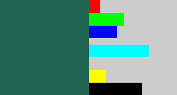 Hex color #206552 - dark green blue