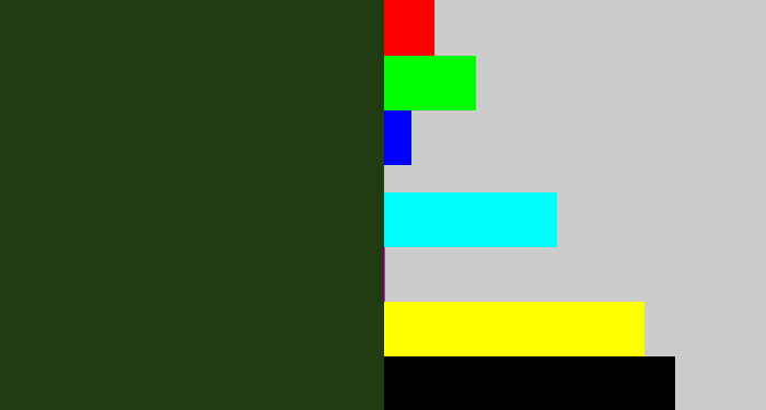 Hex color #213c13 - forrest green