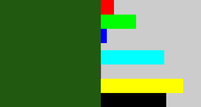 Hex color #215910 - navy green