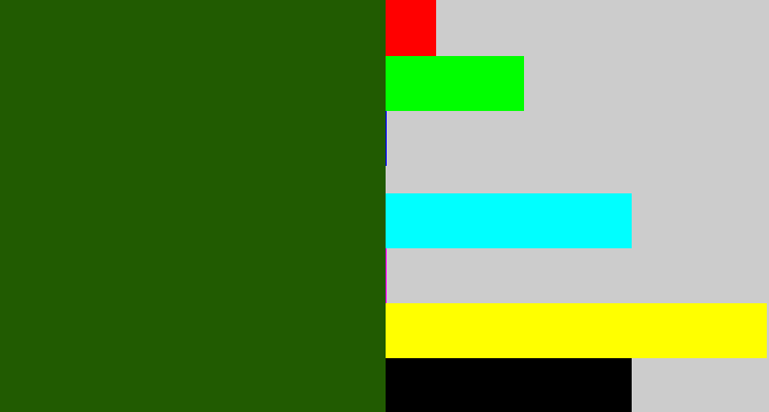 Hex color #215b01 - navy green