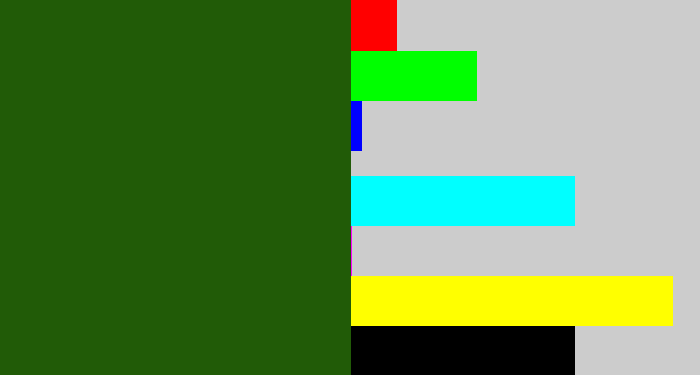 Hex color #215b07 - navy green