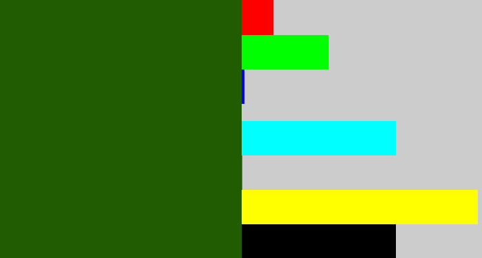 Hex color #215c02 - navy green