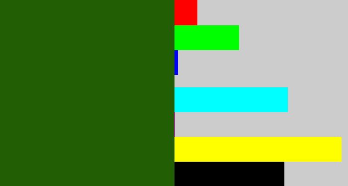 Hex color #215e04 - navy green