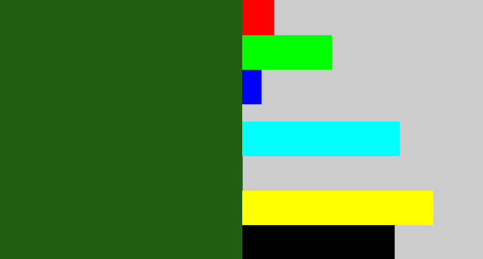 Hex color #215e14 - navy green