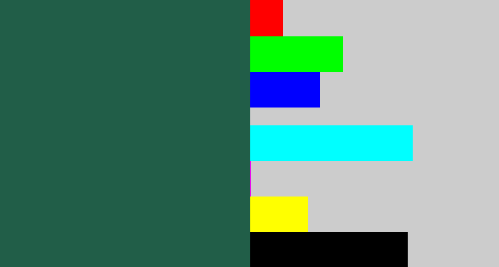 Hex color #215e48 - dark green blue