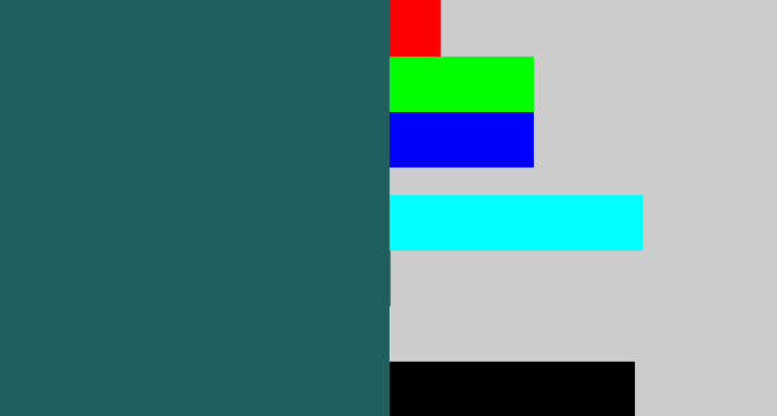 Hex color #215e5e - dark green blue