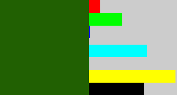Hex color #216002 - navy green