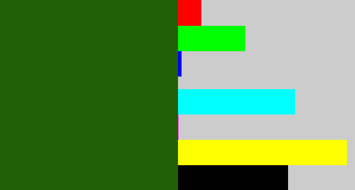 Hex color #216005 - navy green