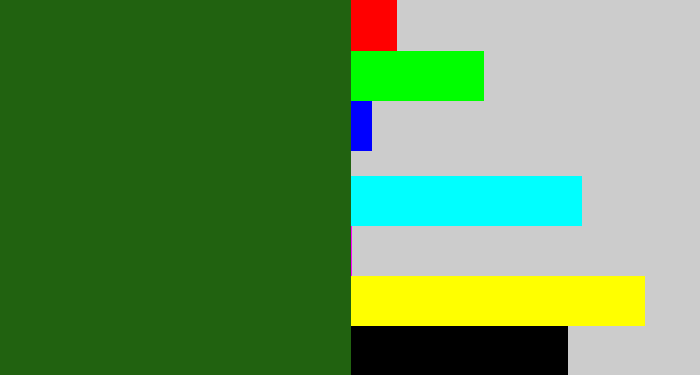 Hex color #216210 - navy green