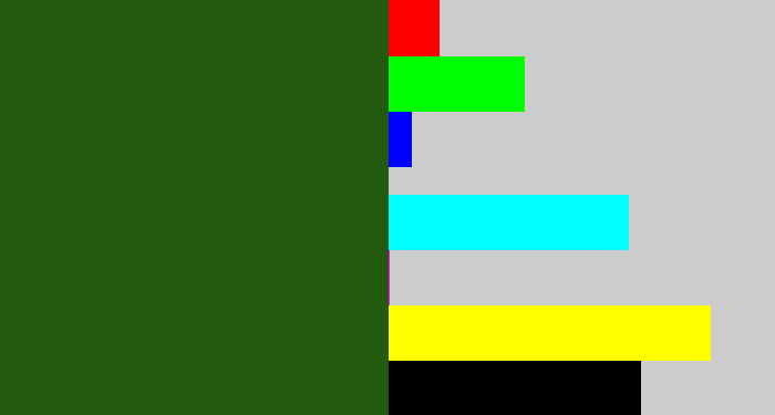 Hex color #225a0f - navy green