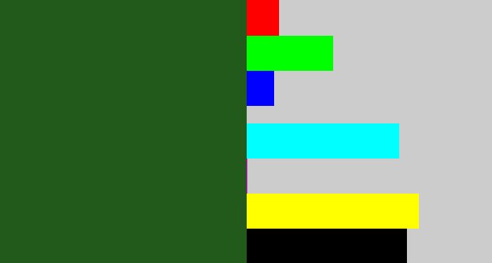 Hex color #225a1b - navy green