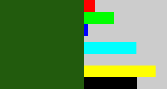 Hex color #225b0d - navy green
