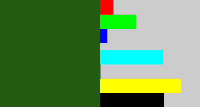 Hex color #225b11 - navy green