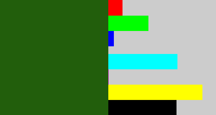 Hex color #225e0c - navy green