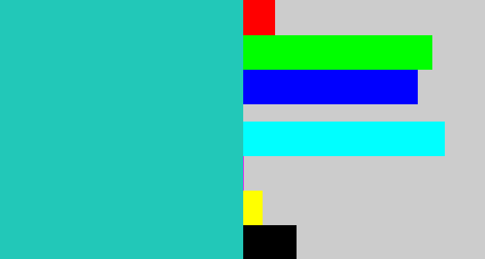 Hex color #22c8b8 - tealish